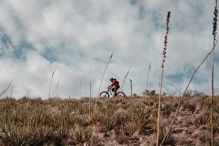 Why we are building Flow Collective.